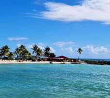 Карибски круиз с Барбадос и почивка в Доминикана 20.01.2027