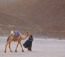 ЕГИПЕТ  от времето преди Старото царство до наши дни 08.11.2025