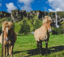 Исландия - страната на елфите, троловете и северното сияние - октомври 2026
