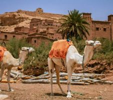 Мароко - Имперски тур