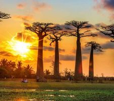 Мадагаскар и Мавриций - Едно вълнуващо пътешествие до двата екзотични острова през от София - 2026