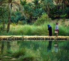 Оман - величествени каньони, зелени оазиси, древни крепости и топло гостоприемство от София - 2026