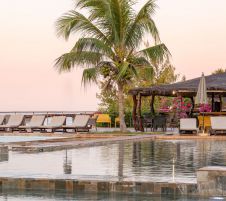 Royal Horizons Baobab