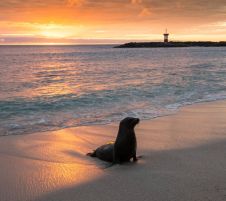 Екскурзия в ЕКВАДОР и островите Галапагос - рай в центъра на света