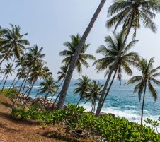 Екскурзия в ШРИ ЛАНКА - класически тур и почивка, с водач от България!