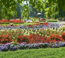 Почивка в СЪРБИЯ - ВЪРНЯЧКА БАНЯ, 3 нощувки в хотел Fontana**** - със собствен транспорт!