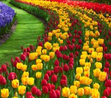 Великден в Истанбул, Турция - Фестивал на лалетата с автобус от Варна - 3 нощувки