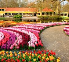 Великден в Истанбул, Турция - Фестивал на лалетата с автобус от Русе и Велико Търново - 3 нощувки