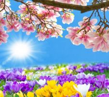 Майски празници в Кушадасъ, 5 нощувки, с автобус от София