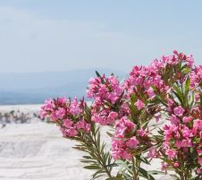 Нова година 2026 в Памуккале, Турция със собствен транспорт