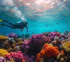 ЕКСКЛУЗИВНИ ОТСТЪПКИ - Почивка в Шарм ел Шейх, Египет със самолет от София - 7 нощувки