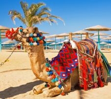 Почивка в Хургада, Египет със собствен транспорт