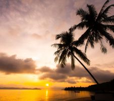 Почивка в Дидим, Турция с автобус от София- 12 нощувки