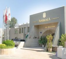 AMBROSIA