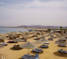EAGLES PARADISE ABU SOMA