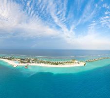 JOY ISLAND