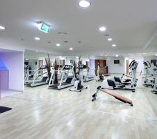 Exe Vienna или подобен