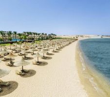 Jaz Sharks Bay Superior