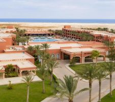 Jaz Tamerina Premium