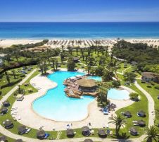 Sentido Phenicia Superior