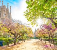 Бордо и Страната на Баските– пътешествие между Франция и Испания