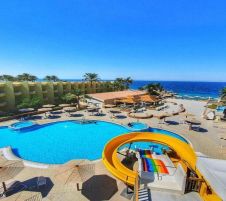 Palm Beach Resort Standard